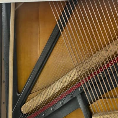 Immagine 1950's/1960's Marco Polo 64-Key Upright Piano - 17
