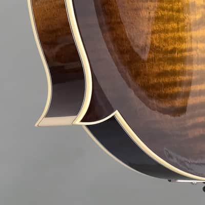 Northfield Big Mon w/ Italian Spruce Top (#B250841) image 14
