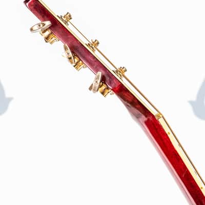 Daion The Year Series '81 Caribou - Wine Red (WR) - Electric Acoustic Six String image 16