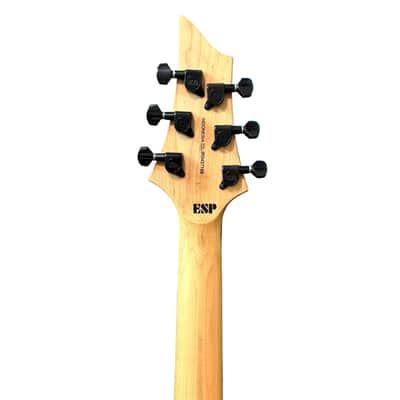 ESP LTD F-50 Electric Guitar (Missing 3rd String) image 6