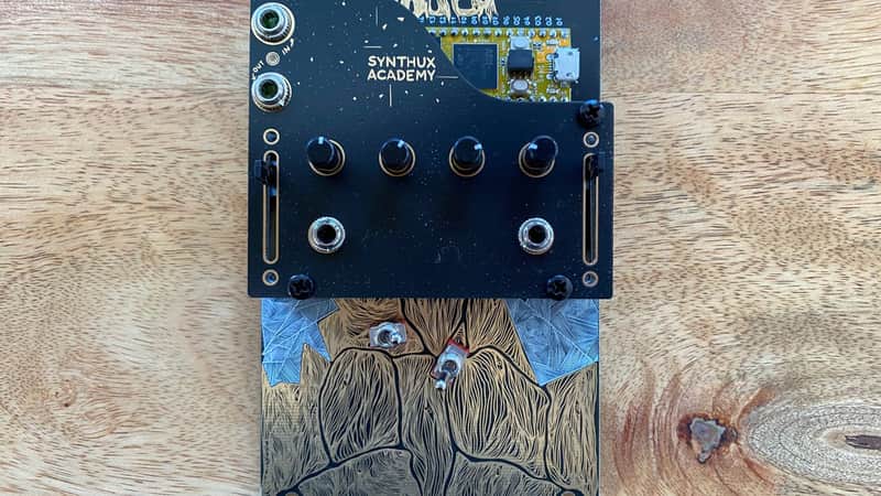 Syntux Touch 2 kit or built with Mutable Instruments Plaits image 1