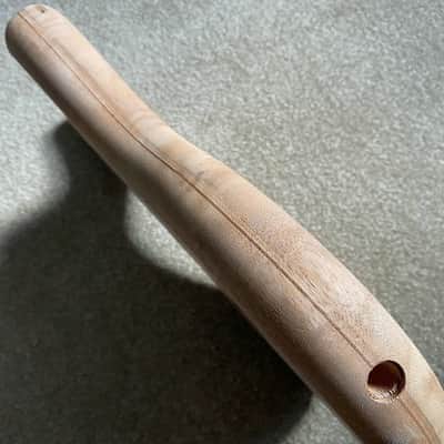 Mahogany 5 String Electric Bass Body image 4