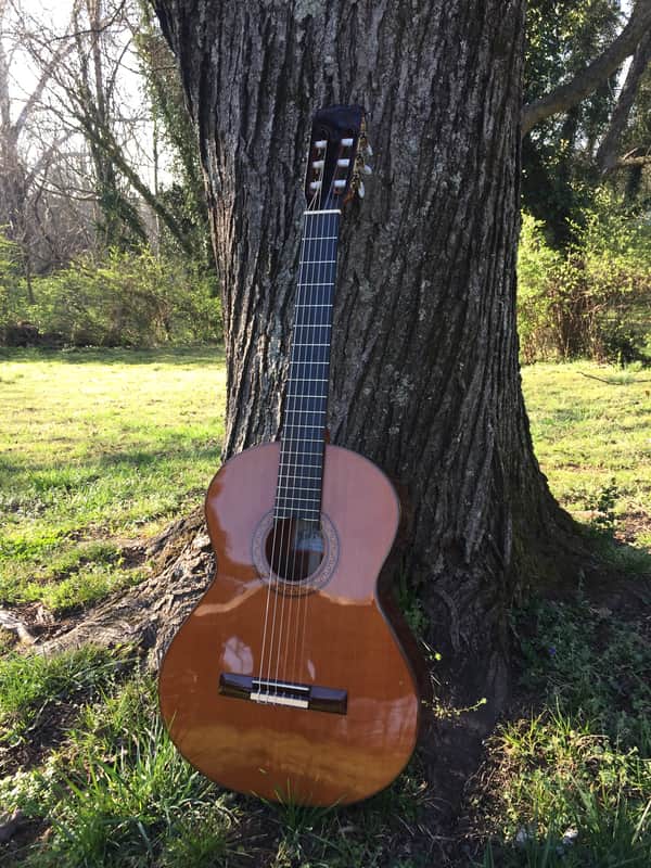 Jose Ramirez R1 Classical Guitar - Solid Cedar Top image 1