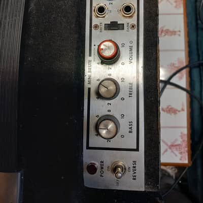 Polytone Mini Brute image 3