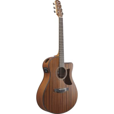 Ibanez AAM54CE-OPN - Acoustic Guitar image 1