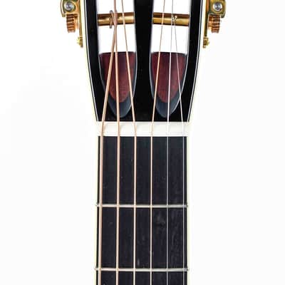 Collings Parlor Deluxe Cocobolo Adirondack Traditional image 2