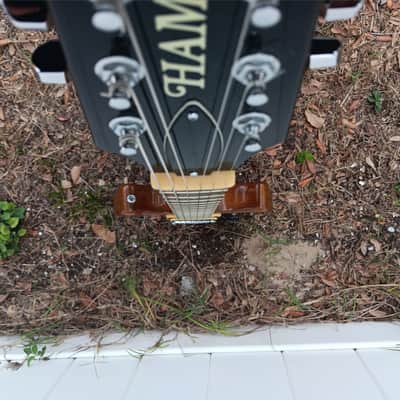 Hamer Special zebra humbucker lp dc electric guitar image 16
