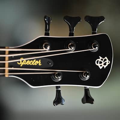 Spector NS Ethos HP 5 - White Sparkle Gloss image 2