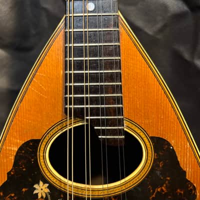 Bruno Bowlback Mandolin - Brazilian RW & Birds Eye Maple - Early 1900s - Great Player - All Org. - Case - Ships FREE!!! image 5