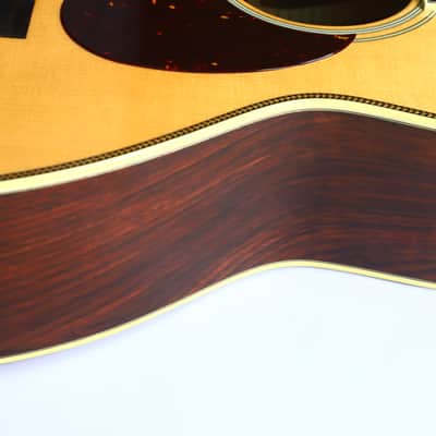 Santa Cruz 00-Skye Acoustic Guitar - designed in collaboration with the jazz guitarist Eric Skye image 15