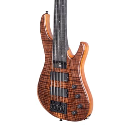 G.Gould GGi5 – Flame Walnut Top – Torrefied Pine Body – Graphite Composite Neck – 8.1 pounds – 1464 image 11