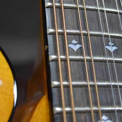Weber Yellowstone F14-F Mandolin image 17