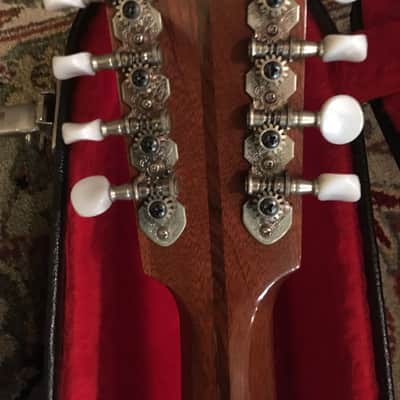 Flatiron 3k Bouzouki image 6