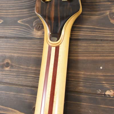 Alembic Stanley Clarke Signature Deluxe short scale 4 string Bass Macassar Ebony - VIDEO DEMO image 9