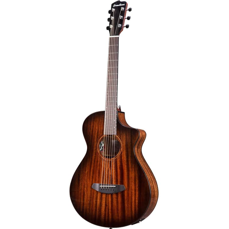Breedlove Wildwood Pro Concertina Suede CE image 1