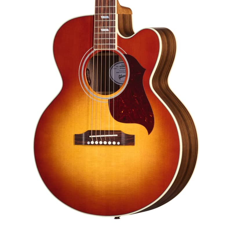 Gibson Acoustic Parlor Rosewood EC Rosewood Burst LR Baggs Hi-Fi DNA w/case