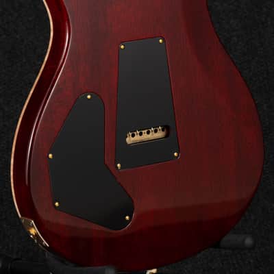 Paul Reed Smith DGT 10-Top Birds - Dark Cherry Burst image 10