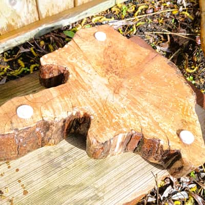 Hand Crafted, Forest Wood, (Possibly Enchanted) Microphone Stand image 9