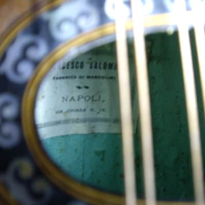 Francesco Salome Fabrica Di Mandolini Neapolitan Bowl-Back Mandolin - Natural image 17