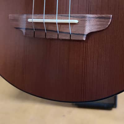 2013 Rick Turner Compass Rose Tenor Ukulele #359 – Cedar / Indian Rosewood – Gig Bag image 4