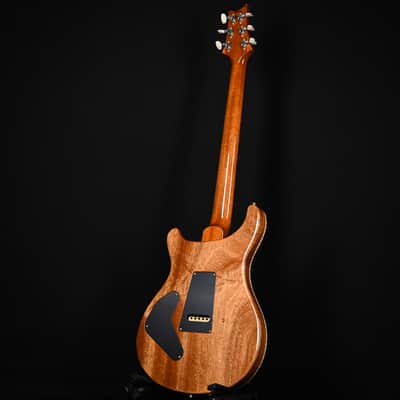 PRS Custom 24 Piezo w/ 10-Top & DMO Pickups Electric Guitar- Aurora Borealis 2026 (0420420) image 14