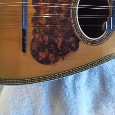 Washburn Model 130 1895-1900 - Gloss image 15