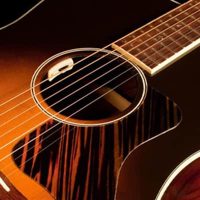 LR Baggs Anthem-SL Acoustic Pick-up image 1