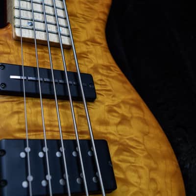 Left Handed Nordstrand Very Custom 5 String Bass image 5