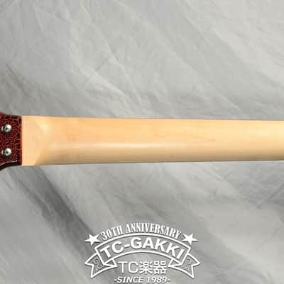 JERRY JONES GUITARS Electric Sitar image 10
