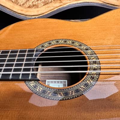 6 String Contrabass Guitar (Octave Bass) - Esteve PS75 - All Solid Wood/Cedar/Indian Rosewood - 750mm Scale Length image 18