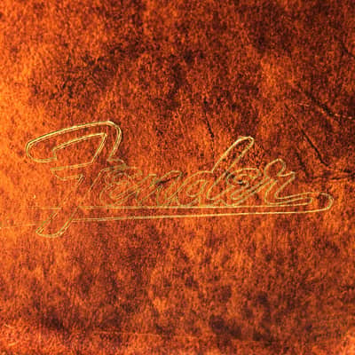 1960's Fender Bulwin "Sunglasses" Case image 7