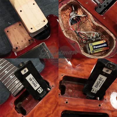 SPECTOR Stuart Spector Design Blackhawk '97 Cherry Sunburst /Used image 7