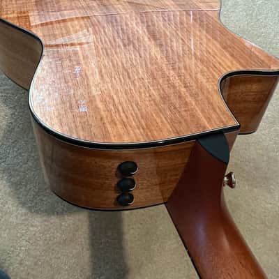Taylor GT-8 Baritone 8-String Custom Built. image 2