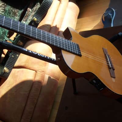 Guild Nylon Paloma SC3 2000 - Natural image 12