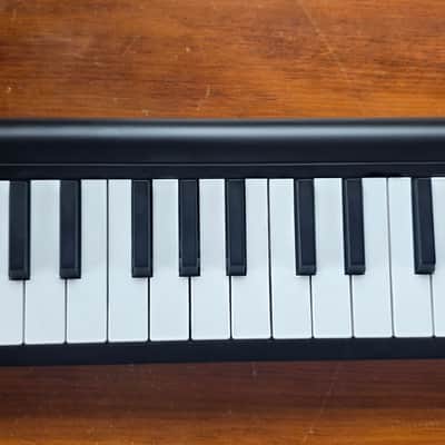 Korg microKEY 25 USB MIDI Controller with Sleeve image 1