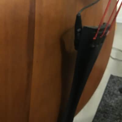 Double Bass, upright bass, acoustic bass circa 1950s image 4