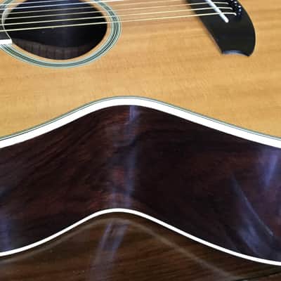 Epiphone Norlin NO-390 Acoustic Guitar with Hard Shell Case image 10