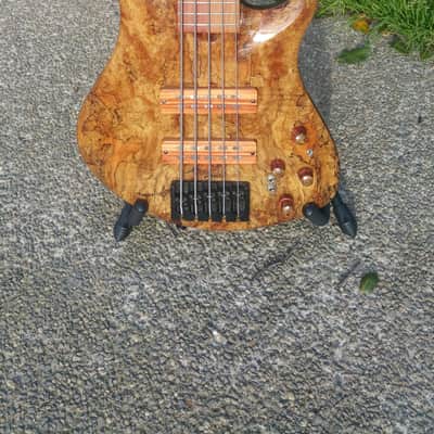 Roscoe SKB 3005 Custom 5 string bass guitar image 4
