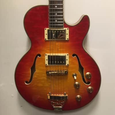 Jay Turser Semi-Hollowbody Electric Guitar image 1