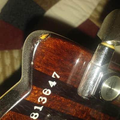 Washburn Falcon 1981 Yamaki image 4