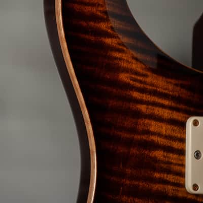 PRS Custom 22 10 Top - Black Gold image 11