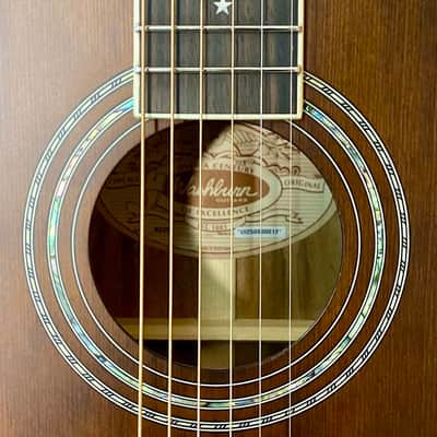 Washburn R-310 Victorian Parlor - Antique Brown image 4