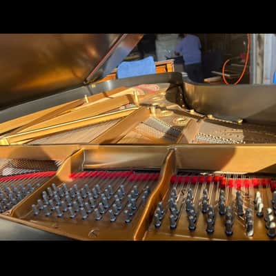1950 Steinway & Sons Model B - 6'11" Grand Piano Exceptional Value image 9