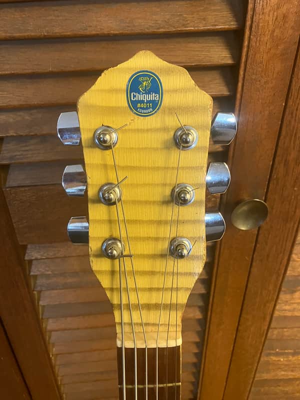 Sears Brand Archtop Jazz Guitar 1960 - Off-white with painted Zebra stripe image 1