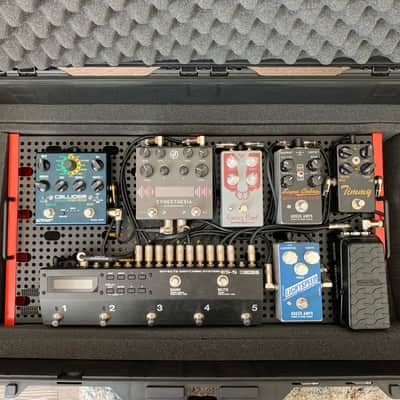 Temple Audio with Truetone CS6 and Pelican 1615 case Duo 24 image 1