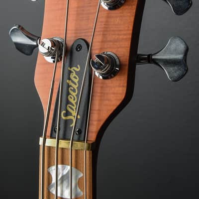 Spector Euro 4 RST - Sienna Stain Matte image 7