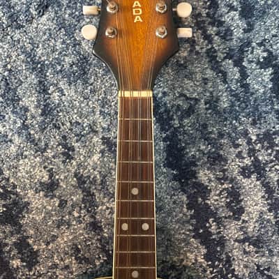 Granada Electric Mandolin, 1960's-70's, Sunburst (Reclamation Project) image 5