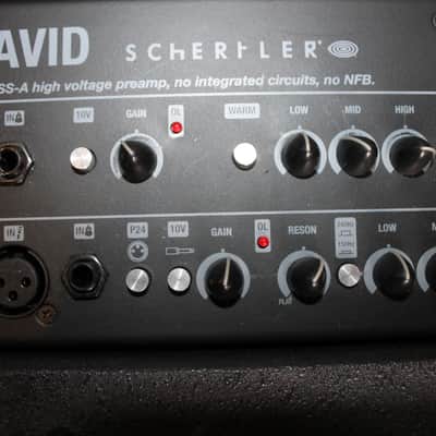 Immagine Schertler David 100 watt Acoustic Amplifier - 3