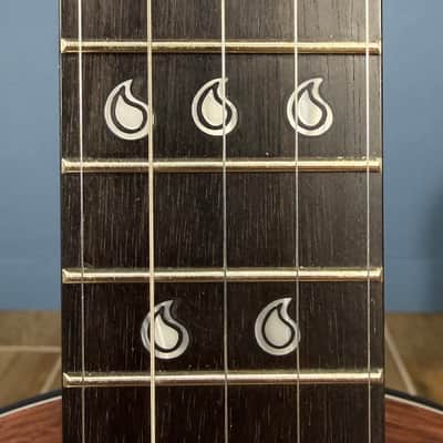 The Scott Avett "Truth" Signature Banjo by Deering image 14