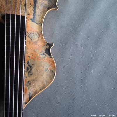 Stradi Symphony Stone 2016, STONE top, titanium frets, great sound and articulation image 6
